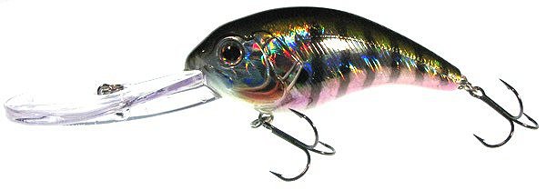 Strike Pro Crankee Runner EG-042F#630V Strike Pro Crankee Runner EG-042F#630V