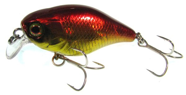 Jackall Chubby 38 hl red & gold