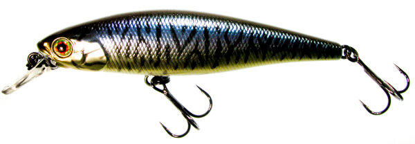 Jackall Squad Minnow 80 hl bronze blue pike