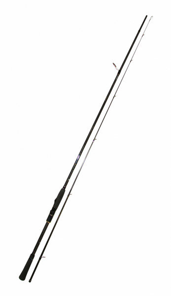 Удилище спиннинговое Zetrix Avalanche ZAS-822MH 250 см 12-42 г