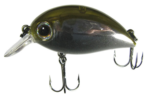 Escortfish Kc